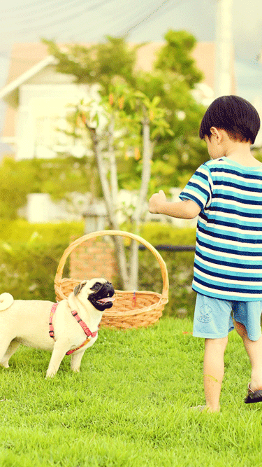 Bienvenido, sentite en casa