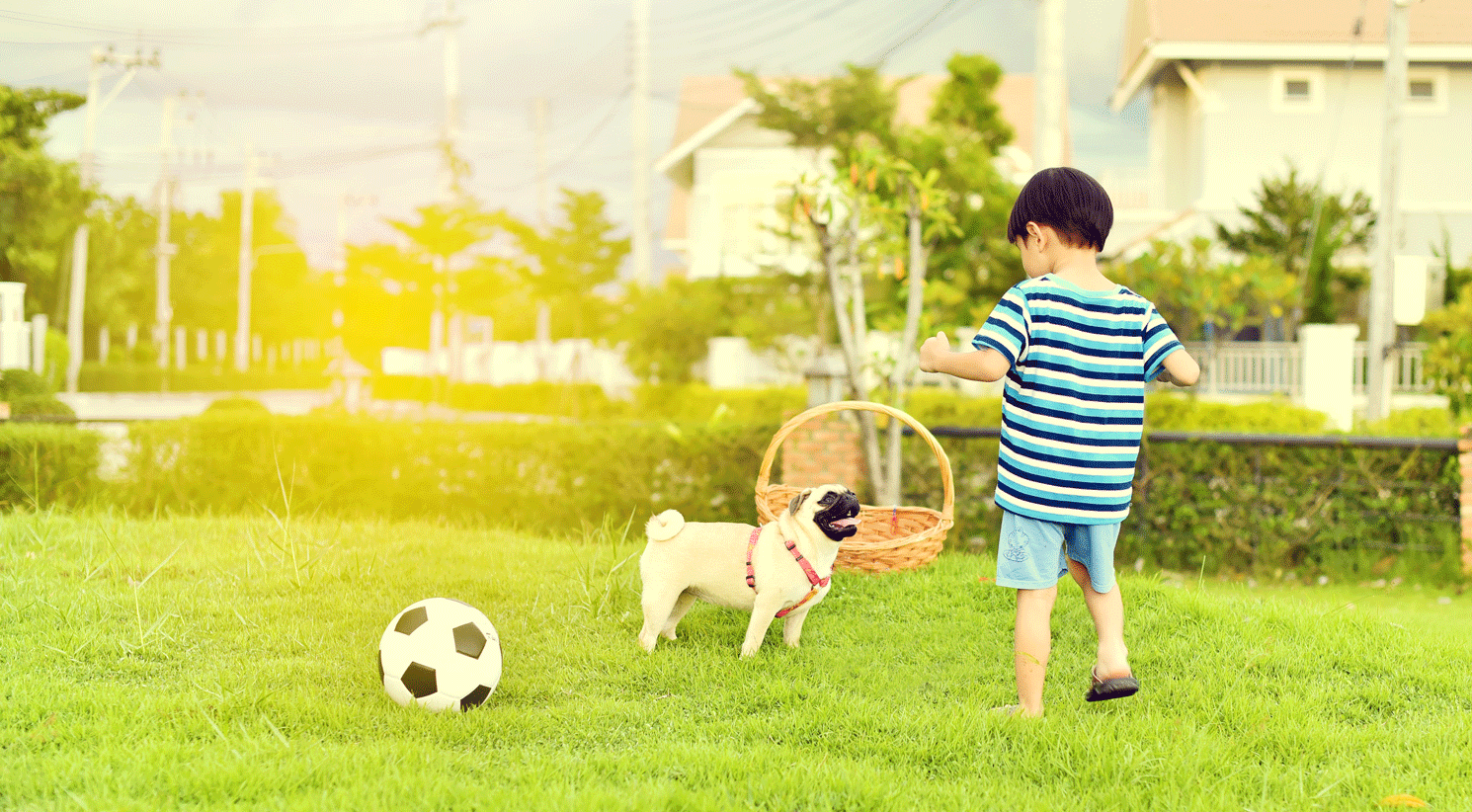 Bienvenido, sentite en casa